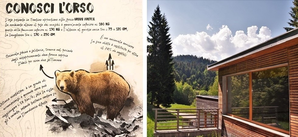 Casa Santel, dove si convive con l'orso: Facciamo bearwatching promuovendo un modello di turismo ecologico e sostenibile''